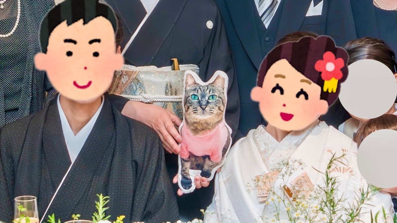 【結婚式当日】無事に迎えられました!お留守番頑張った猫の甘えん坊姿がこちらw