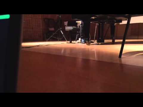 camera iphone 8 plus apk Minas Borboudakis @ Audio Art Festival 2015