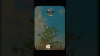 ❤️‍🩹ನೆಮ್ಮದಿ🫴🫠#life#feel#love#travel #emotional#viral#viralvideo#my #peace##happy#lifelessons#mylove