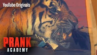 REAL TIGER PRANK!!! ft. VITALY | Prank Academy | Episode 9