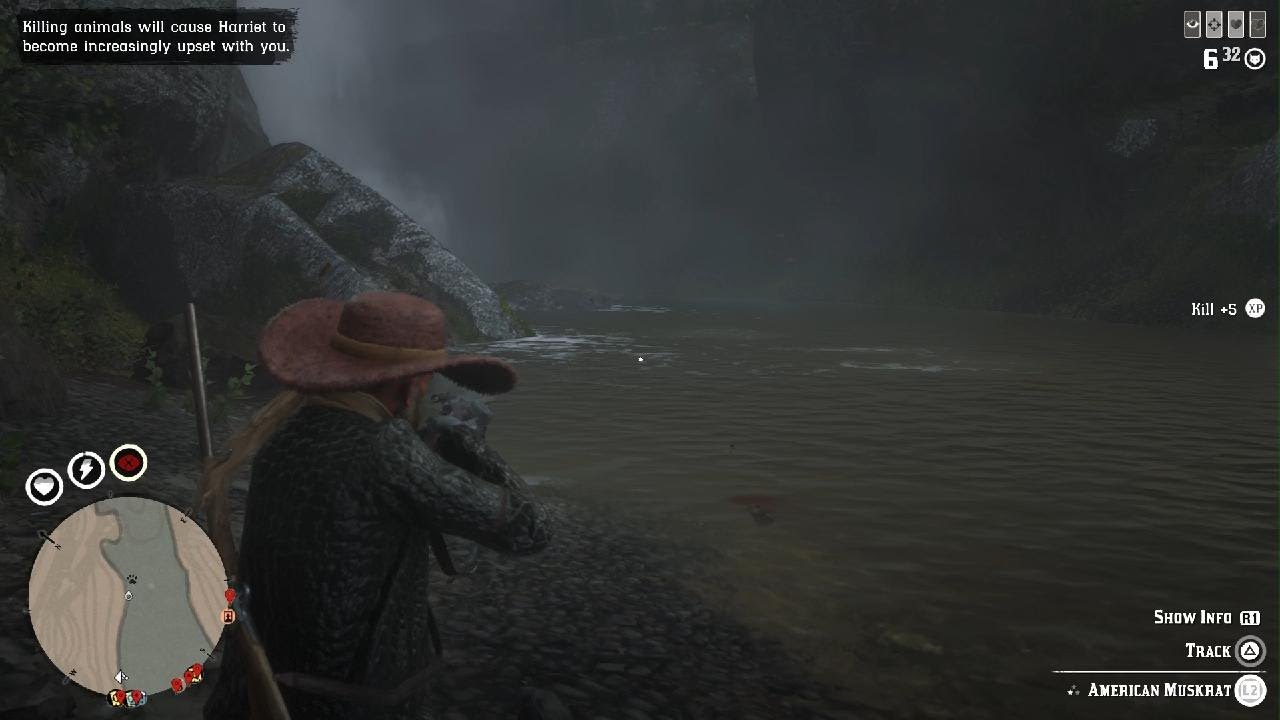 Red Dead Online/ 2 American muskrats Skinned/ daily challenges YouTube