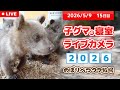 5月9日 子グマの寝室ライブカメラ のぼりべつクマ牧場