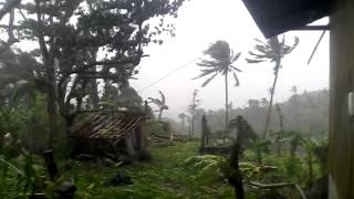 TYPHOON RUBY 2014