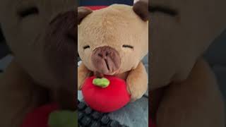 #roblox #ihavethisthingwithplants #rodents #capybara #rpgame