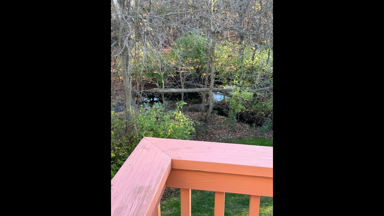 1957 Noble Run Way, Columbus Ohio 43229 2 BR 2 BA Condo backing to a creek and trees