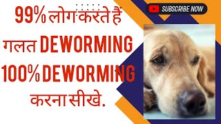 Dogs के पेट के कीड़े का इलाज ‌‌‌और दवाएं | How to Deworm a Puppy Yourself At Home | Dog care info by BEAGLE THE ZOOYI 1,020 views 3 months ago 3 minutes, 58 seconds