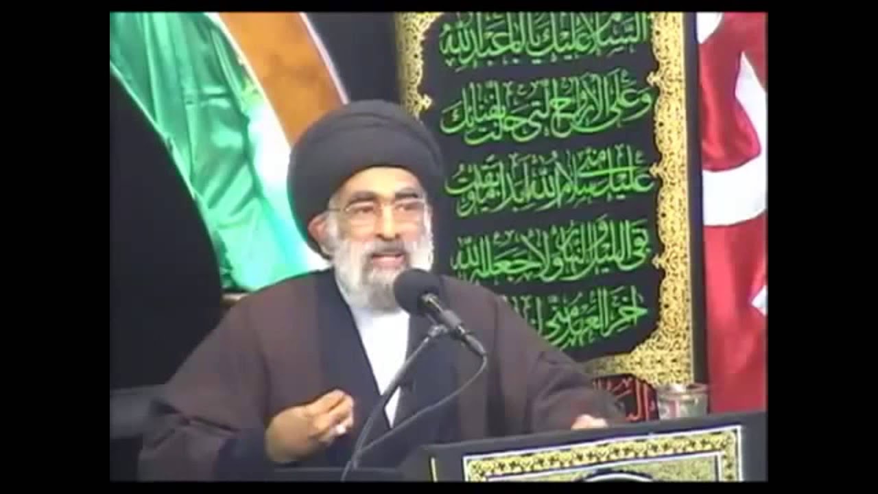 آية الله السيد هادي المدرسي ‎(كرم و تفاني شيعة العراق في خدمة زوار الإمام الحسين ع)