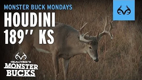 David Blanton's LARGEST Buck! HOUDINI |189" KS Monster |Monster Bucks Monday