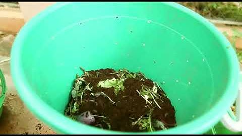 ಕನ್ನಡ: Soil and health home composting video using microbial cocopeat Bioclean and Grow