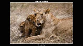 Africa 2025 Slideshow