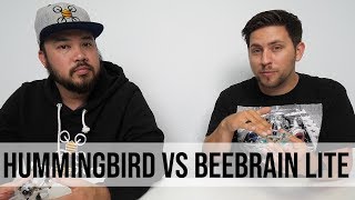 Whats the Difference? BeeBrain Lite vs Hummingbird Net Worth