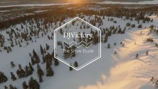 DJVictory - The Snow Etude