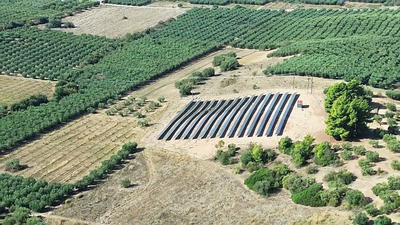 3-2-1-meins: Oliven plantage