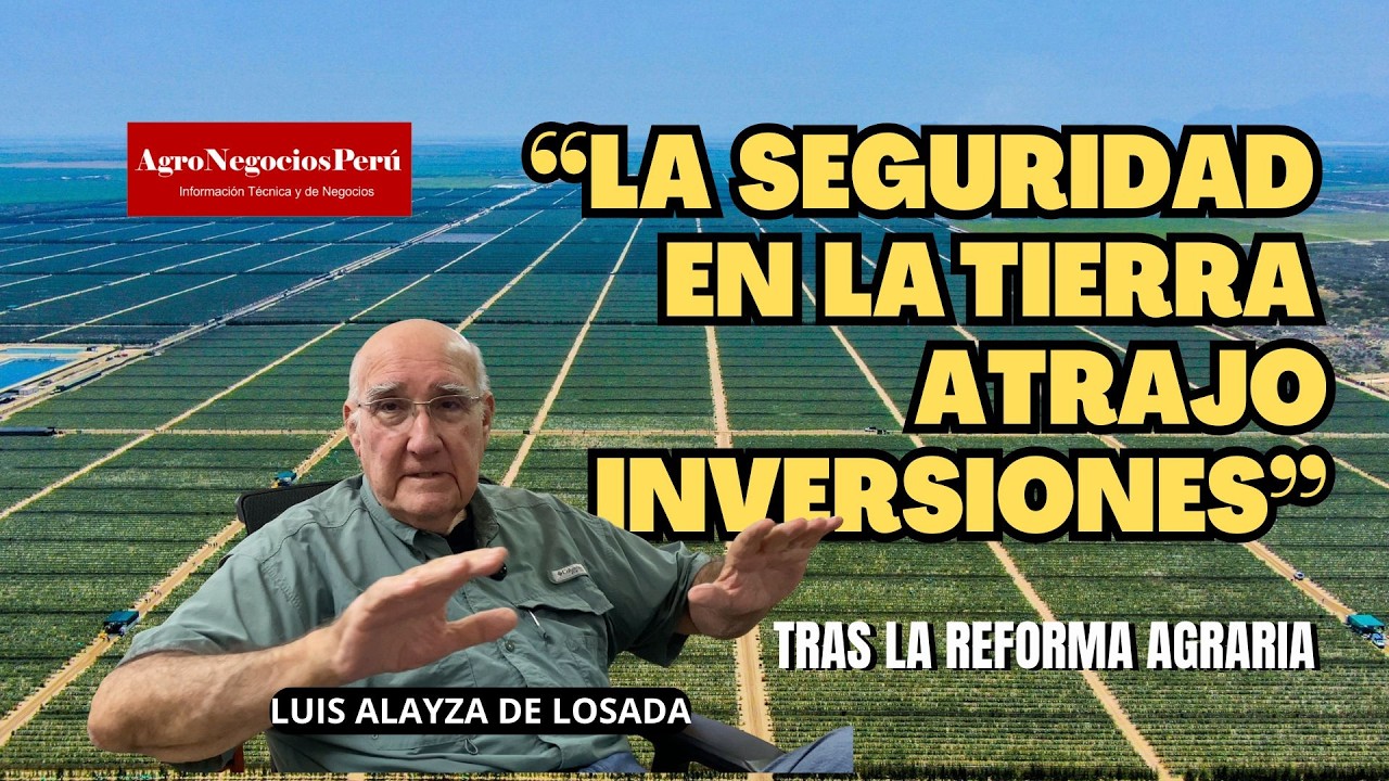 Cómo el agro peruano pasó del colapso total al éxito mundial| Testimonio de Luis Alayza de Losada