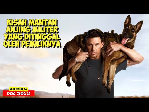 Video: Veteran Membaca Surat Menyentuh, Ditulis Kepada Anjing yang Menyelamatkan Dia Dari Bunuh diri