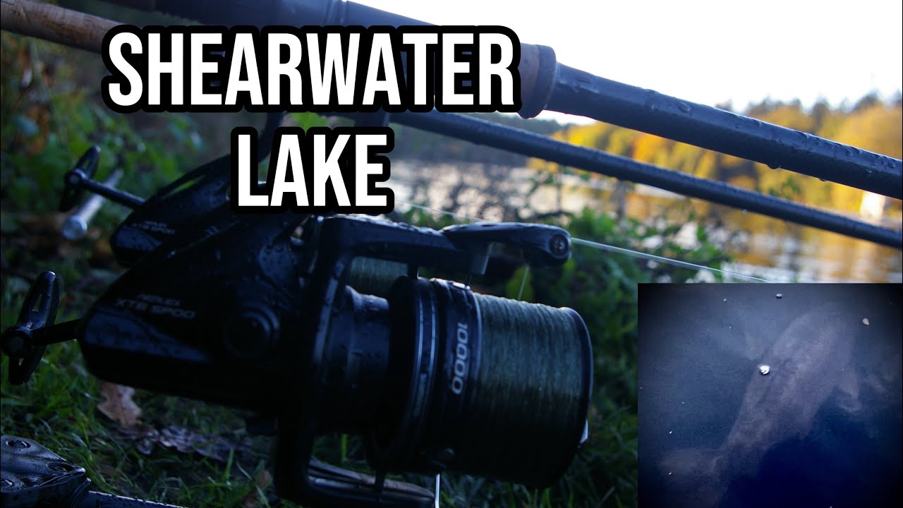 SHEARWATER LAKE feat. Noah.angling, mark walsh and rob castell - YouTube