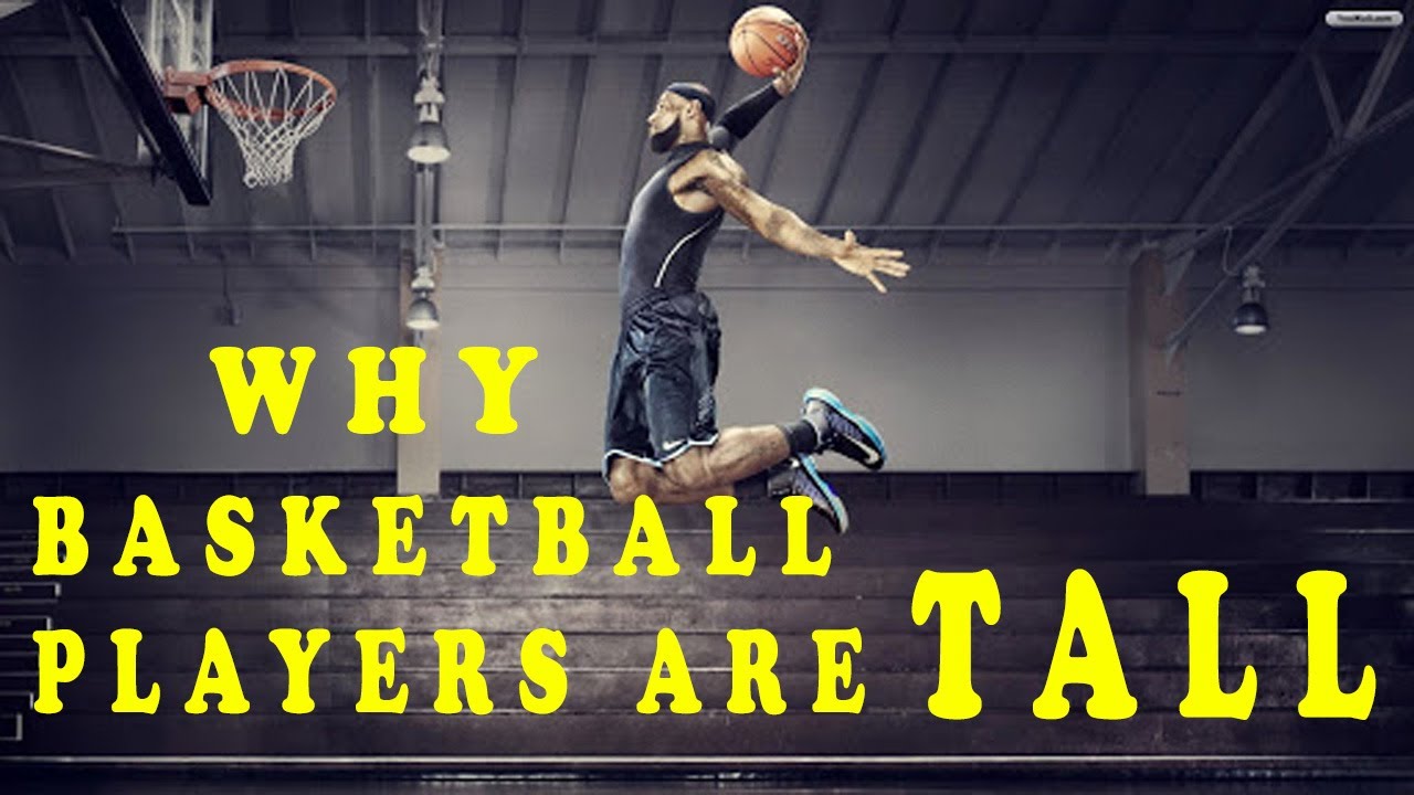 Why Basketball Players Are TALL கூடைப்பந்து வீரர்கள் ஏன் உயரமாக