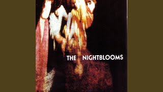 The Nightblooms—He's Dead