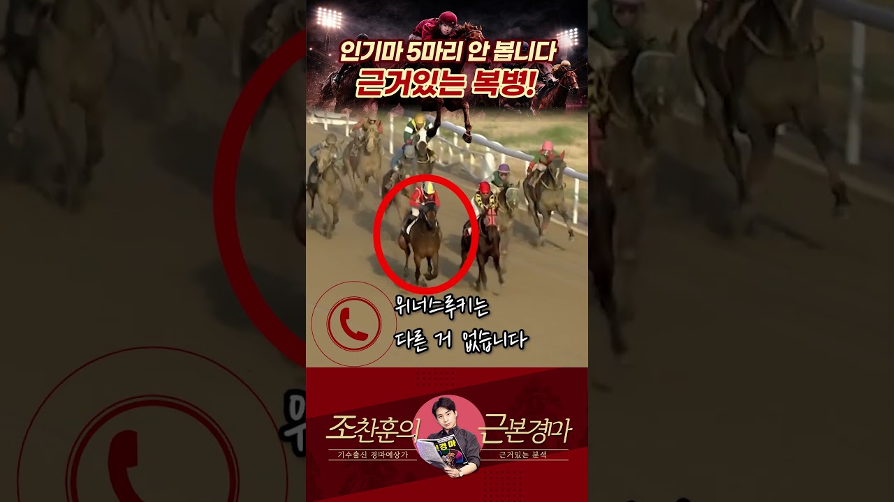 인기꼴찌마를 축마로 보는 이유