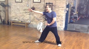 Yin Fu BaGua Zhang Zhu Baozhen lineage