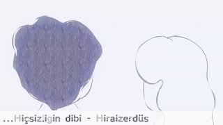 Hiraizerdüş- Hişsizliğin Dibi Resimi