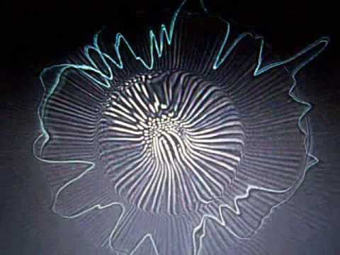 Guarda The XX (intro) vs. Notorious B.I.G. (dead wrong) su YouTube Guarda The XX (intro) vs. Notorious B.I.G. (dead wrong) su YouTube