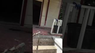 Project Elysian Video 2
