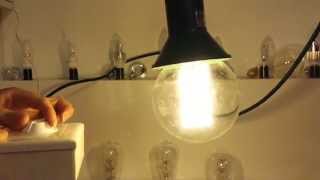 Dimmable Globe LED Edison light bulb