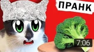 ПРАНКИ НАД КОТАМИ! СМЕШНОЙ КОТ И КОШКА МУРКА РАЗЫГРАНЫ! Новые ПРИКОЛЫ! 4 смешных ПРАНКА над ДРУЗЬЯМИ