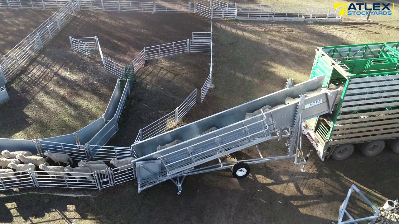 David Smith | Vasey VIC | Sheepyards