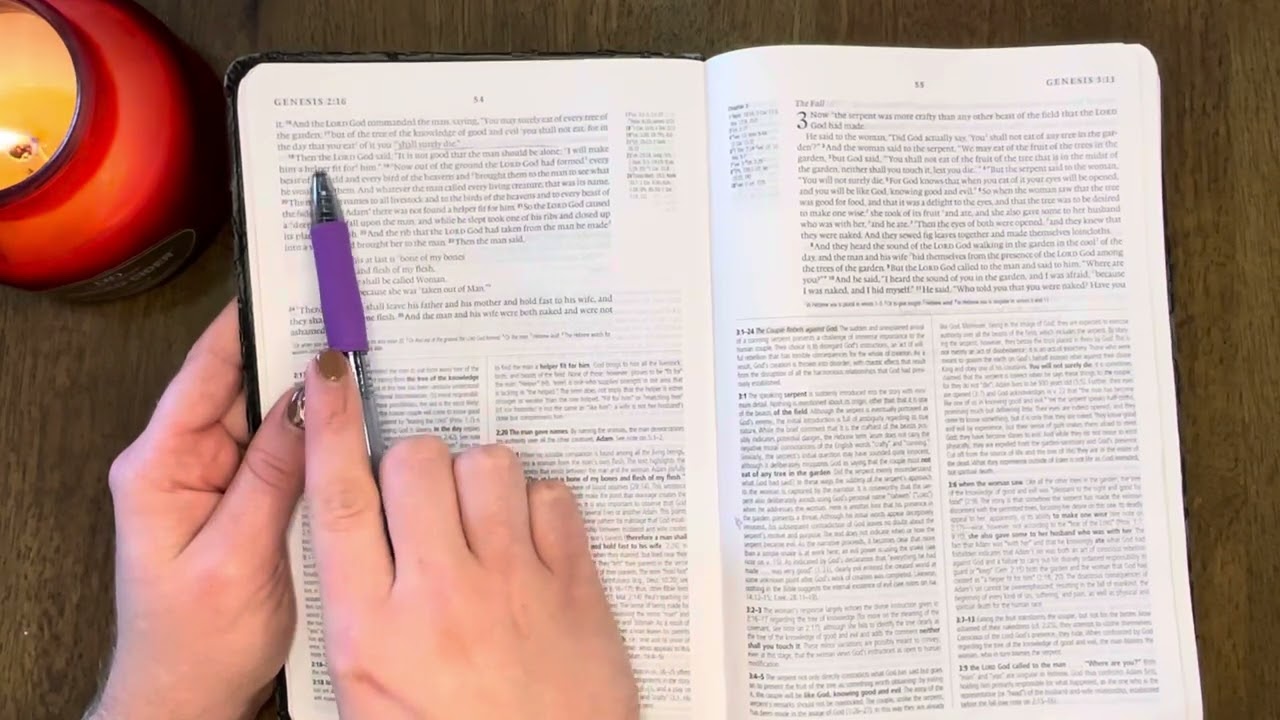 Genesis 2 | Yearlong Bible Study | Day 1.2