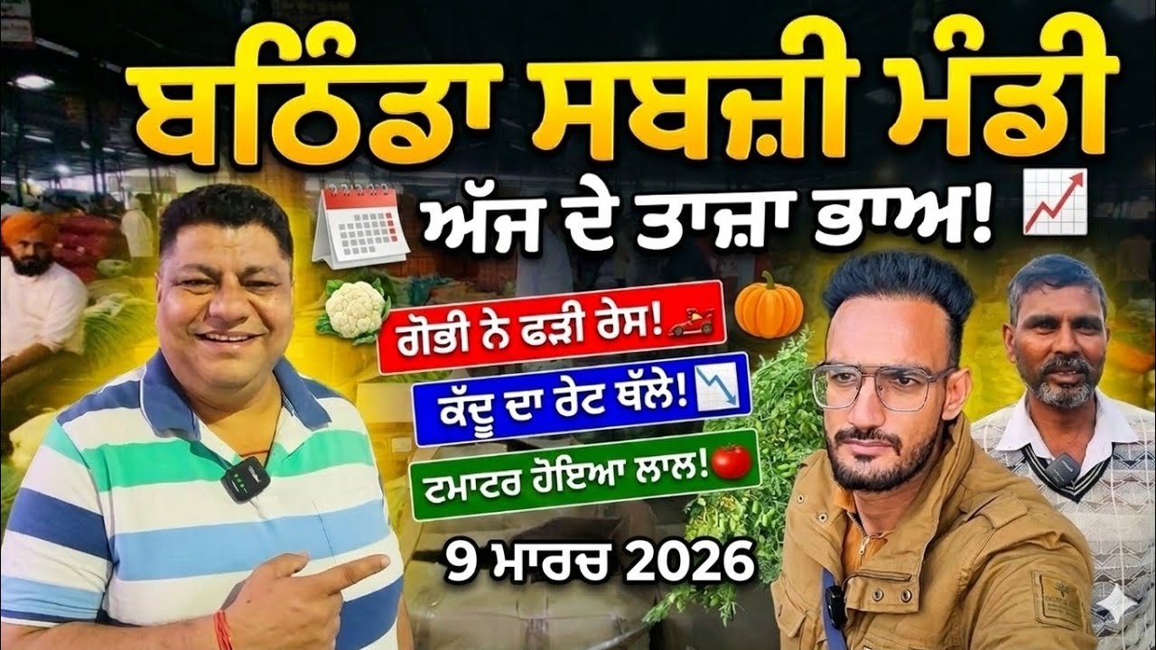ਬਠਿੰਡਾ ਸਬਜ਼ੀ ਮੰਡੀ 'ਚ ਰੇਟਾਂ ਦਾ ਭੂਚਾਲ! 📉 ਗੋਭੀ ਹੋਈ ਤੇਜ਼, ਕੱਦੂ ਮੂਧੇ ਮੂੰਹ ਡਿੱਗਿਆ! Bathinda Sabji Mandi।