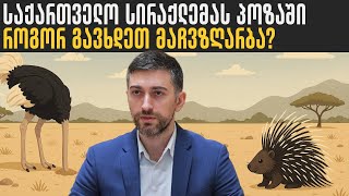საქართველო სირაქლემას პოზაში - როგორ ვიქცეთ მაჩვზღარბად? I ჰერმან საბო