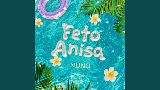 Feto Anisa