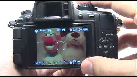 Panasonic G1/GH1: Auto Mode