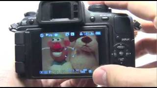 Panasonic G1/GH1: Auto Mode
