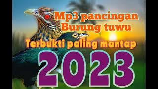 mp3 pancingan burung tuwu paling mantap 2003