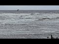 27th August 2024, Storm at Irvine Beach.