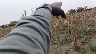 Ku kiyaga cya Rumira(Bugesera) Rilima mu buso 1.8ha hashakamo 95M negociable 0788261887 /0782279644