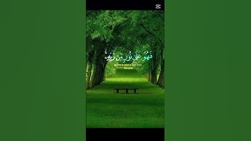 سورة الزمر الآية 22
