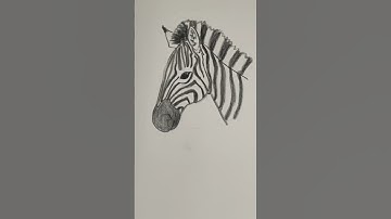 Teken een realistische zebra 🦓 Eenvoudige tekenles voor beginners over het tekenen van een zebra ...