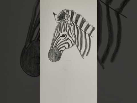 Easy Zebra Drawing Face