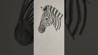 Draw a realistic zebra 🦓 Easy drawing lesson for beginners on how to draw a zebra #drawinglesson