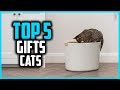 ✅Top 5 Best Gifts for Cats in 2025
