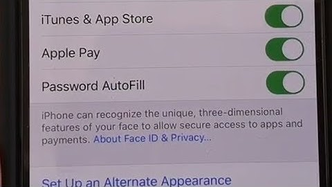 iPhone 11 Pro: How to Enable / Disable Face ID For Password AutoFill