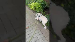 Jana Hat Schön Zugenommen