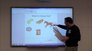 SMART Notebook 11: The Activity Builder