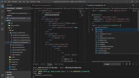 Angular 9 Parte 11. Interpolación
