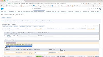 Salesforce Lead & Campaign Management | AppBuddy’s GridBuddy