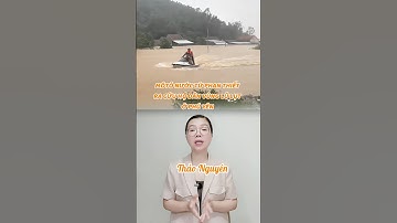 Môtô nước từ Phan Thiết ra cứu hộ dân vùng lũ lụt ở Phú Yên